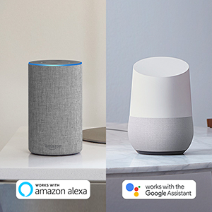 alexa google home compatible