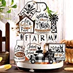 14 Pieces Farmhouse Tiered Tray Decor Home Tiered Tray Decor Rustic Wooden Home Decor Wood Bead Garland with Tassel Mount Window Frames Decor for Farmhouse Home Kitchen Shelf(Farm Style)