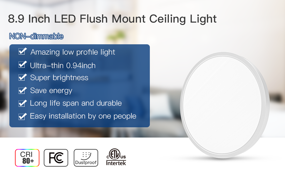 led flush mount ceiling light