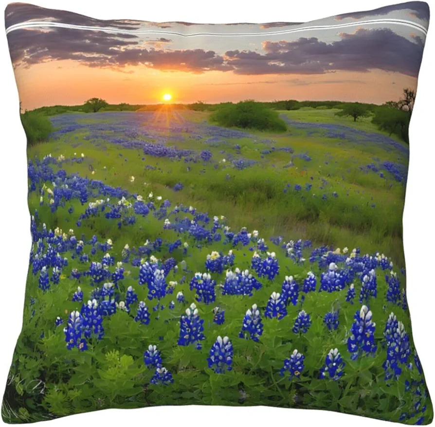 Art Pillow Cover, Modern Square Soft Accent Decorative Throw Pillow Covers Cushion Cover for Bedroom Sofa Living Room 18x18, Texas Bluebonnets Scenery