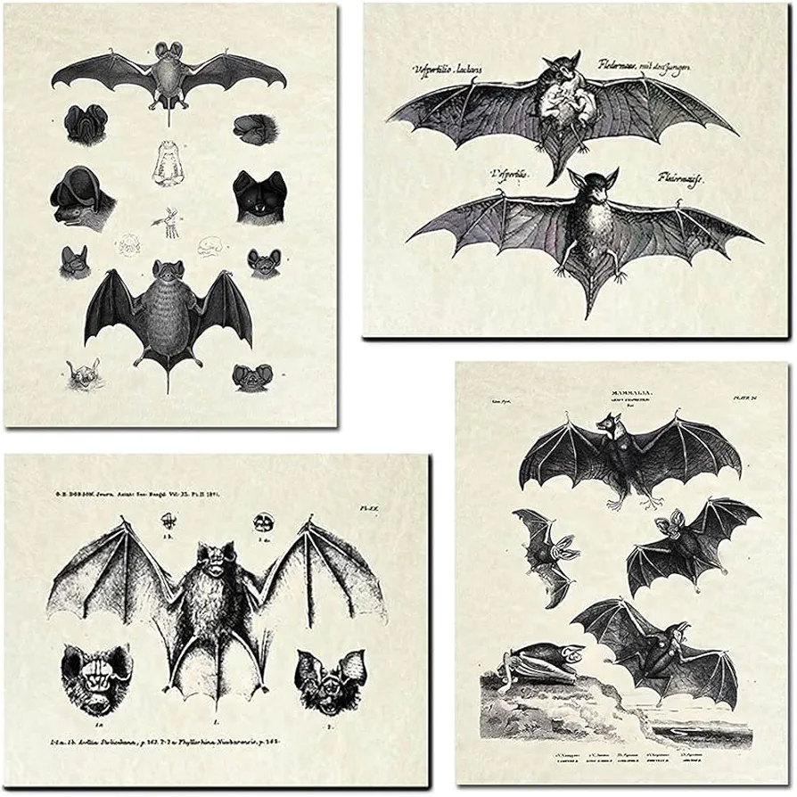 4 Pcs Bats Wall Decor Bats Wall Art Canvas Print,Vintage Retro Hipster Gothic Wall Decor Goth Art Gothic Gifts Creepy Scary Anatomical Picture Poster for Home Living Room Bedroom Office