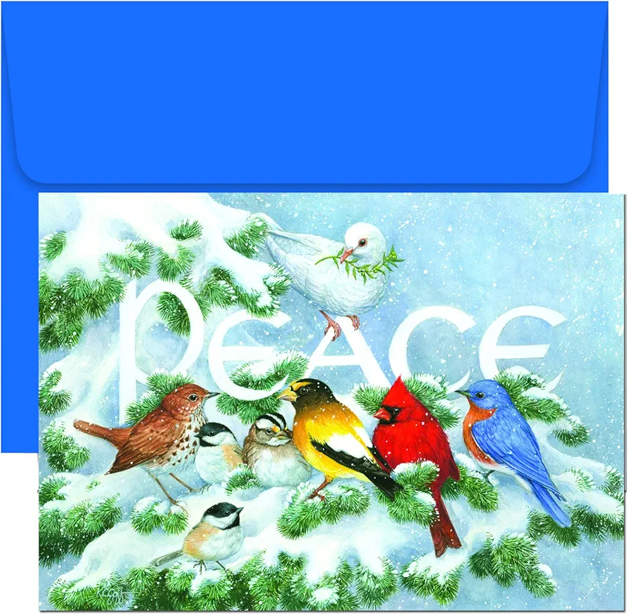 Masterpiece Studios Holiday Brights Collection 16-Count Boxed Christmas Cards with Envelopes, 7.8" x 5.6", Birds on Branch (796600)