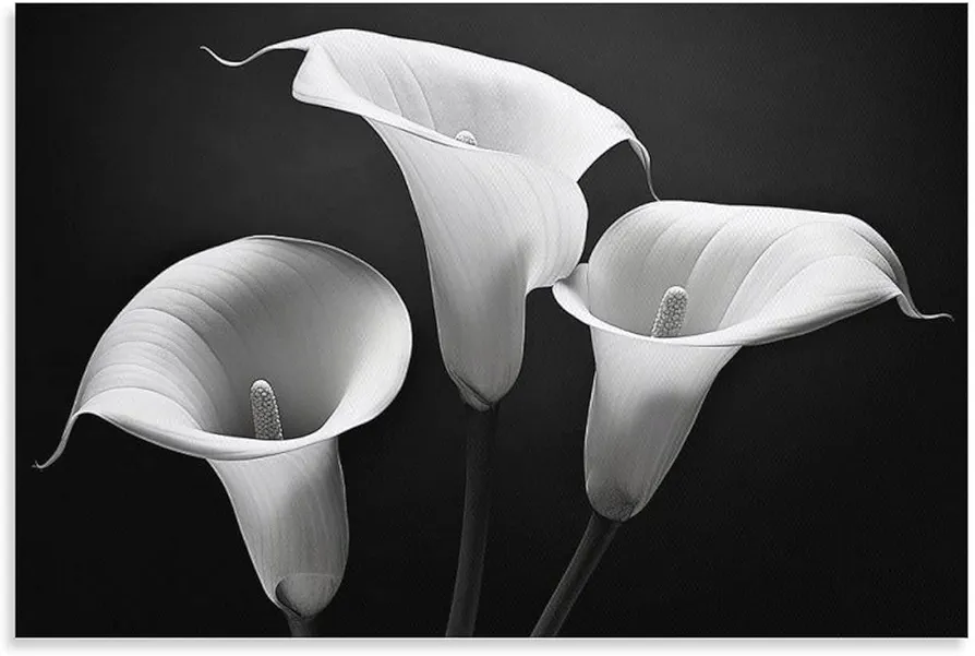 Black and White Poster White Calla Lilies Canvas Art Modern Home Minimalist Decor Canvas Wall Art Prints for Wall Decor Room Decor Bedroom Decor Gifts 16x24inch(40x60cm) Unframe-Style