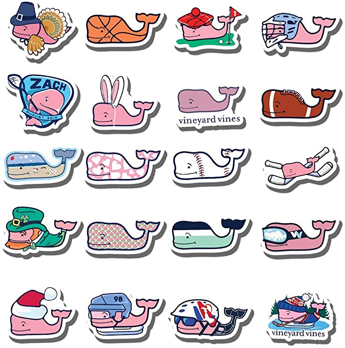 20 PCS Stickers Pack Vineyard Aesthetic Vines Vinyl Hockey Colorful Waterproof for Water Bottle Laptop Bumper Car Bike Luggage Guitar Skateboard