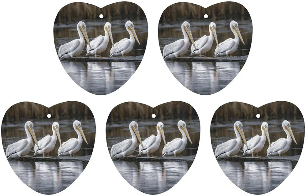 5 Pcs Car Air Fresheners Hanging Air Freshener Three Pelicans Hanging Scented Cards Fragrance Scented Cards for Car Car Aromatherapy Tablets for Car