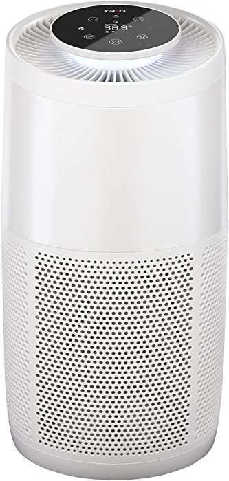 Instant HEPA Air Purifier for Home Allergens & Pet Danders, Removes 99.9% of Dust, Smoke, & Pollen with Plasma Ion Technology, AP 300 Pearl