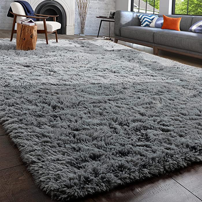 PAGISOFE Fluffy Area Rug, 5x8, Shag Rugs for Living Room, Fuzzy Rugs for Girls Boys Bedroom, Soft Furry Rugs for Nursery Playroom, Cute Room Decor for Baby, Shag Carpet for Dorm Decor, Grey