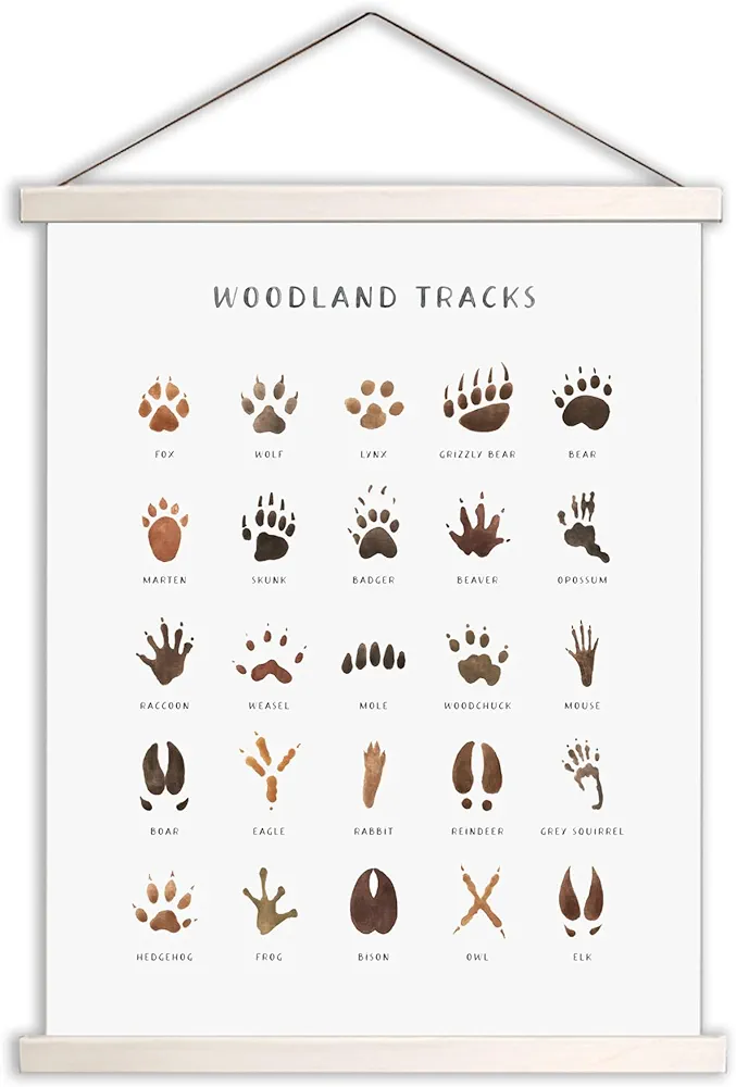 Woodland Tracks Hanging Poster, Canvas Artwork Woodland Nursery Decor 16x20 Inch, Animal Tracks Field Guide Sign, Forest Nursery Decor, Boy Nursery Wall Decor, Jungle Nursery Decor For Kids