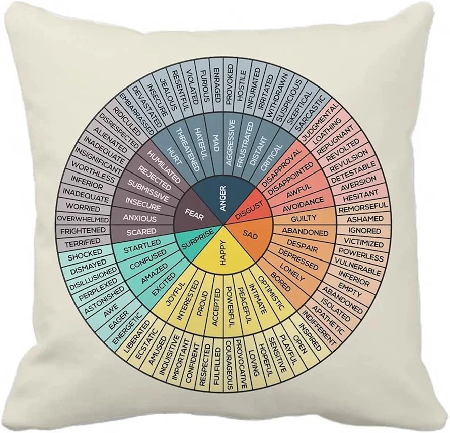 Wheel of Emotions Feelings Velvet Throw Pillow Covers Cozy Square Pillowcases Home Decor for Bed Couch Sofa Therapy Office Living Room Cushion Covers Counselor Physical Therapist Gifts 22"x22"