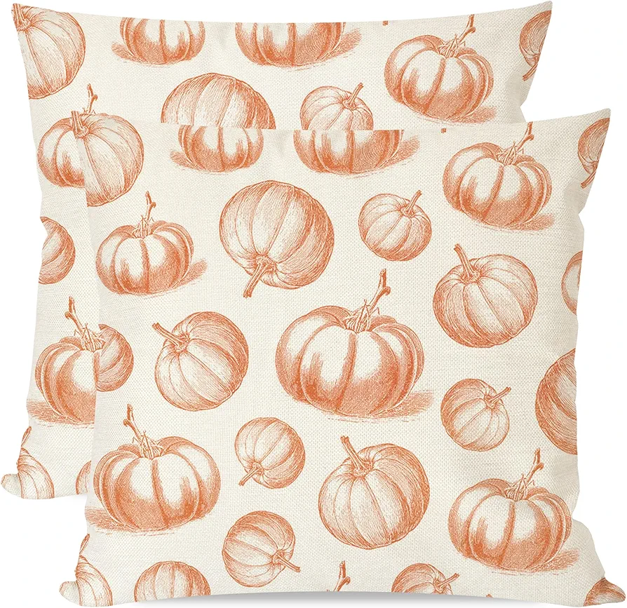 Fall Throw Pillow Covers 18x18 Inch Set of 2 Orange Pumpkin Outdoor Farmhouse Country Cottage Thanksgiving Decorations Autumn Decorative Throw Pillows Cases for Home Living Room Couch Decor