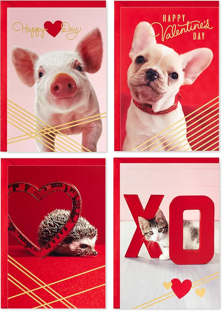 Hallmark Valentines Day Cards for Kids School, Puppy, Kitten, Pig, Hedgehog (24 Classroom Valentines with Envelopes)