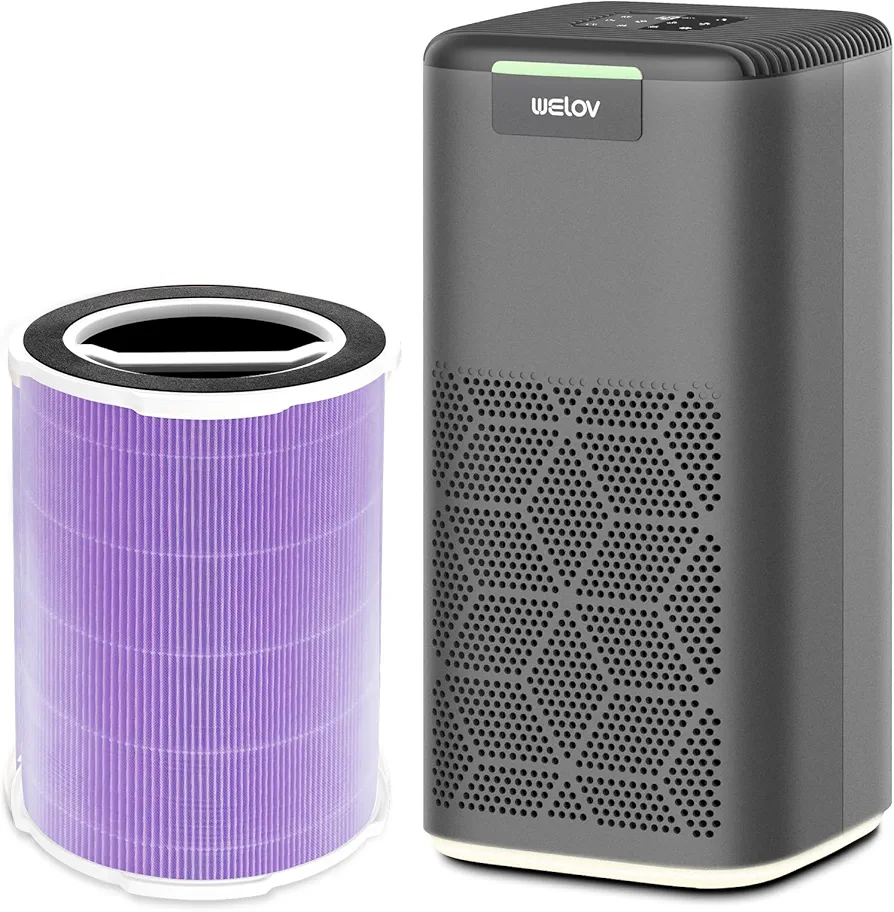 WELOV P200S Air Purifiers for Home Large Room and Toxin Absorber Filter Bundle, 3-in-1 H13 True HEPA and High-Efficiency Activated Carbon Filter for formaldehyde, Toxins, Wildfire Smoke, Odors