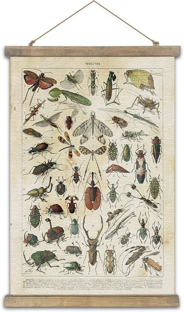 SHOXREM Vintage Poster,Rustic Art Prints, Retro Style of Wall Hanging for Living Room Office Classroom Bedroom Playroom Apartment Decor. (Insects Entomology 1Panels, 16“ x 24”)