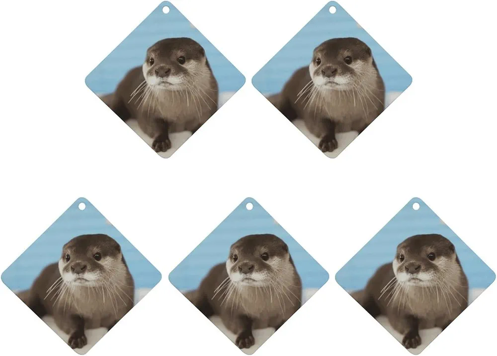 5 Pcs Car Air Fresheners Hanging Air Freshener Cute Otter Hanging Scented Cards Fragrance Scented Cards for Car Car Aromatherapy Tablets for Car