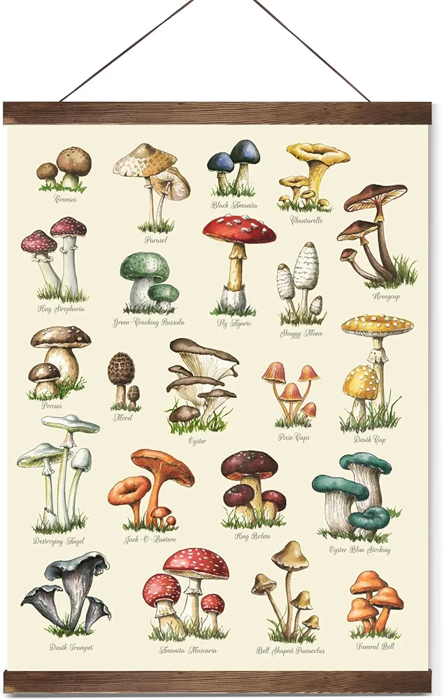 Vintage Mushroom Posters Wall Art Decor, Plant Posters Rustic Farmhouse Wall Art Print Cottagecore Decor, Fairycore Mushroom Room Decor Aesthetic, Cute Colorful Fungus Art for Dining Room Kitchen