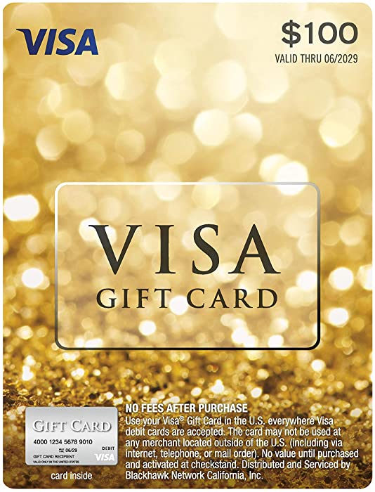 $100 Visa Gift Card (plus $5.95 Purchase Fee)