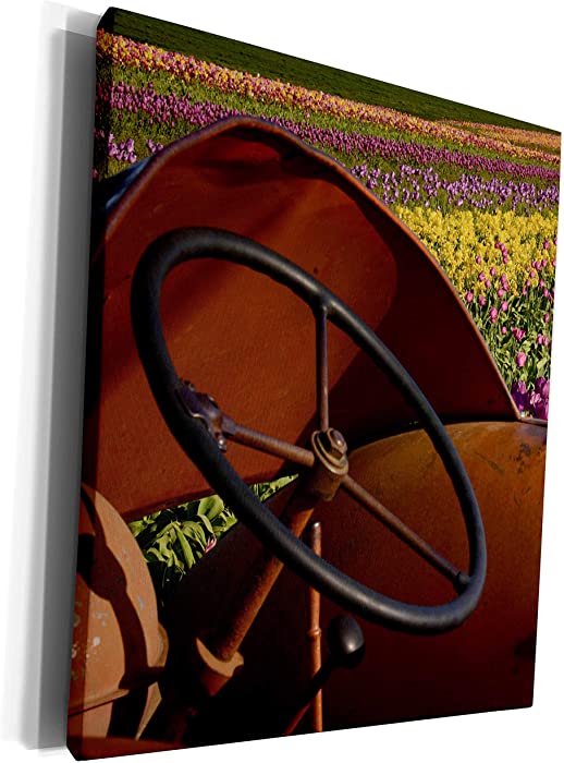 3dRose Danita Delimont - Michel Hersen - Tractors - Tractor, Tulip Festival, Woodburn, Oregon, USA - Museum Grade Canvas Wrap (cw_191671_1)