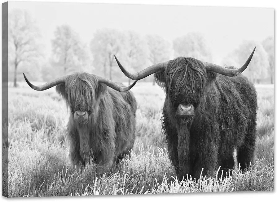 Highland Cow Canvas Wall Art Black and White Bull Pictures Wall Decor Framed Nature Cow Artwork Wall Decor (12x16inches)