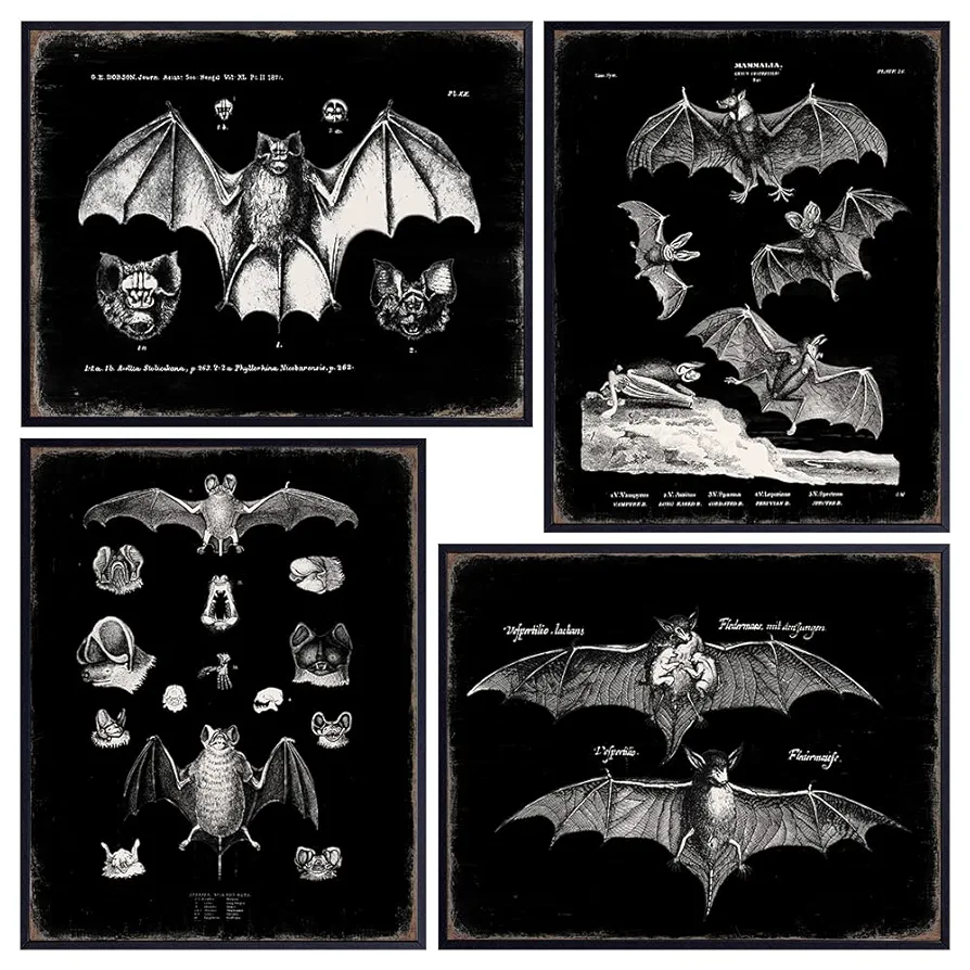 Black Bats Gothic Wall Decor - Vintage Retro Wall Art & Decor - Room or Home Decor - Hipster decoration - Horror Vampire bat Gift - Creepy Scary Anatomical Picture Poster print Set 8x10 UNFRAMED