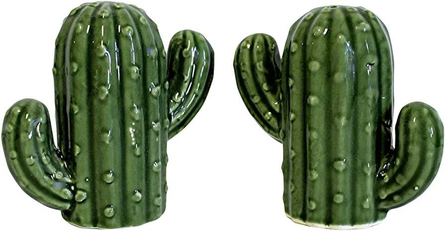 Hand-Painted Ceramic Cactus Salt and Pepper Set - Kitchen Dining Room Perfect Housewarming Holiday Birthday and Mother's Day Gift