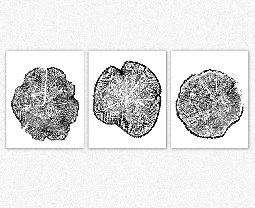 Tree Ring Set of 3 Wall Art Tree Prints Nature Wood Rings for Bohemian Decor | Boho Decor | Vintage Room Decor Poster, Frameless Aesthetic Home Office Modern Decorations (18 x 24)