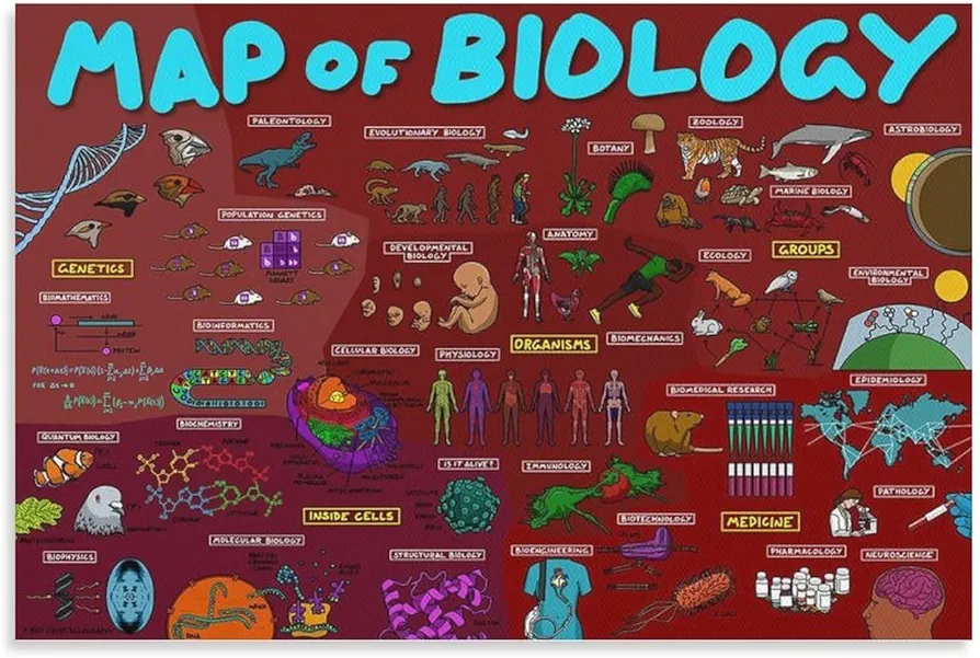 The Map of Biology Poster, Biology Poster, Biology Classroom Decor,Biology Classroom Wall Art Poster Wall Art Paintings Canvas Wall Decor Home Decor Living Room Decor Aesthetic Prints 08x12inch(20x30