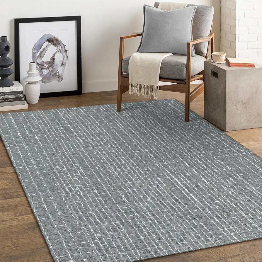 Seavish 4x6 Area Rug Grey Machine Washable Rugs for Entryway Modern Farmhouse Living Room Rugs Low Pile Cotton Woven Neutral Accent Throw Rugs for Bedroom Kitchen Dining Room Entry Patio Decor