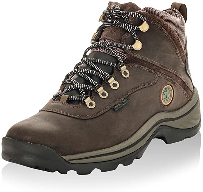 Timberland Men's White Ledge Mid Waterproof Hiking Boot