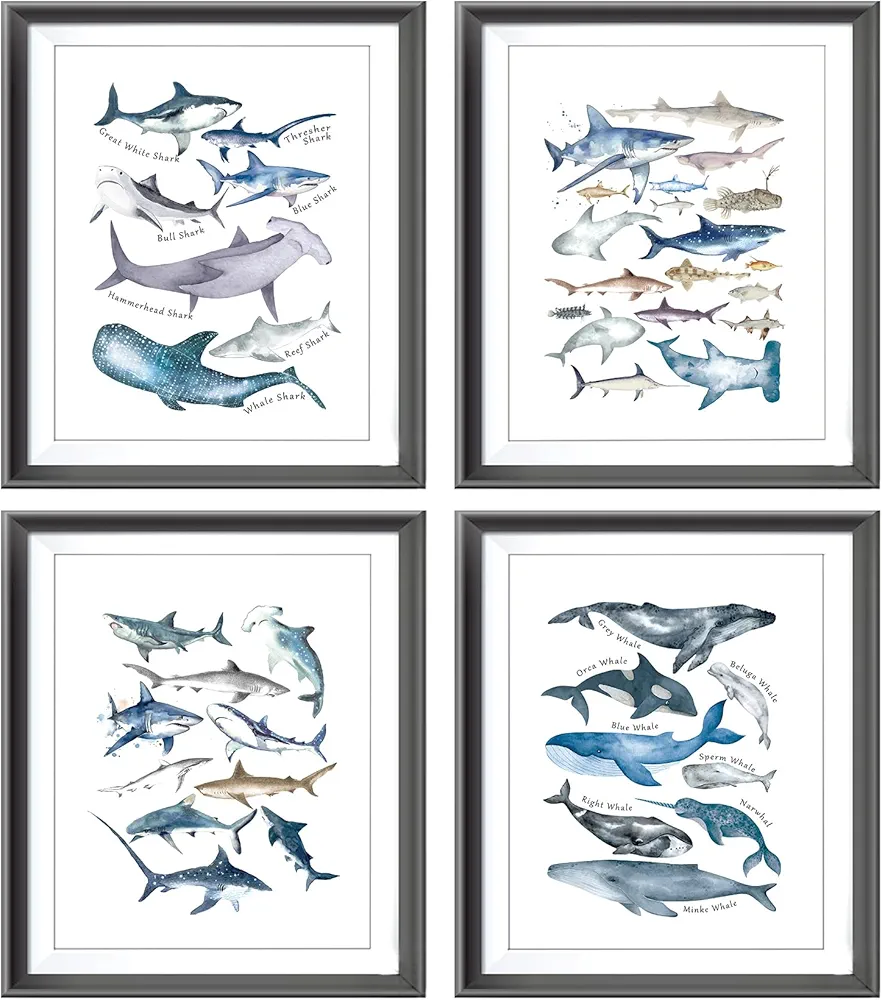 Watercolor Rustic Sharks Whales Blue Sea Ocean Animal Poster Prints for Home Coastal House Bedroom Nursery Room Decor,Educational Shark Themed Decorations Prints Wall Art Unframed 4pcs 8x10inches