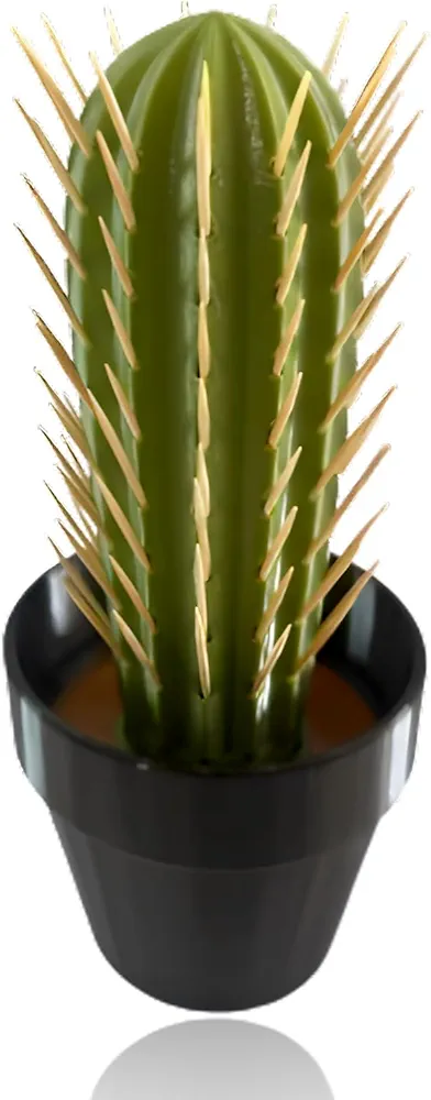 Cactus Toothpick Holder, 3D Printed Cactus Toothpick Dispenser, House Plant Toothpick Cactus Hold, Toothpicks Holder Decorative, Multifunctional Succulent Ornaments for Kitchen, Living Room