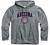 Ivysport Hooded Sweatshirt, Unisex, Cotton/Poly Blend, Heritage Logo Grey