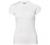 Helly-Hansen Women's Tech T-Shirt