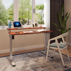 flexispot standing desk