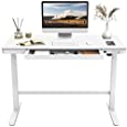 Flexispot EW8 Electric Standing Desk with Drawers Height Adjustable 48 x 24 Inches White Desktop and Frame Quick Install Home Office Table w/USB Charging Ports, Storage Desk Organizer