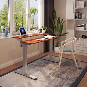 flexispot standing desk