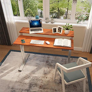 flexispot standing desk