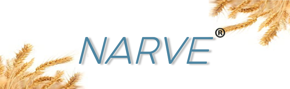 NARVE LOGO 970X300