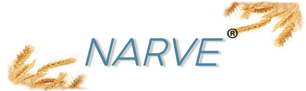 NARVE LOGO 600X180